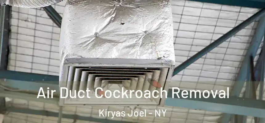  Air Duct Cockroach Removal Kiryas Joel - NY