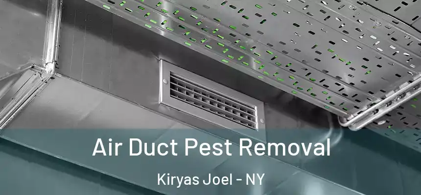  Air Duct Pest Removal Kiryas Joel - NY