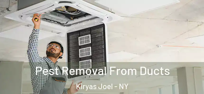  Pest Removal From Ducts Kiryas Joel - NY