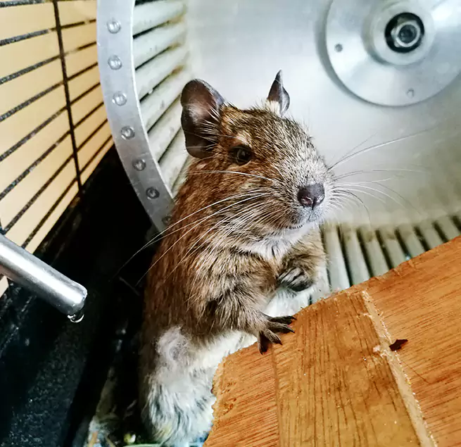 Why Homeowners & Businesses Trust Us Kiryas Joel, NY?